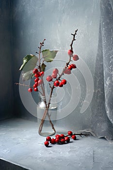 holly and berries on a frosted windowpane