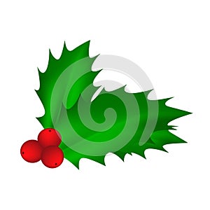 Holly berry, Christmas leaves and fruits icon, symbol, design. Winter vector illustration isolated on white background.