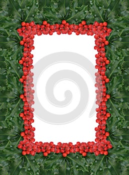 Holly Berry Frame Background