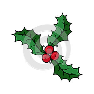 Holly berry illustration on white background