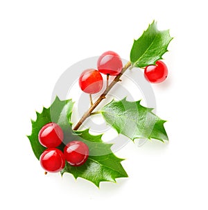 Holly berry leaves Christmas decoration
