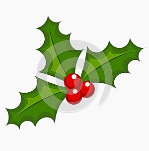 Holly berry vector