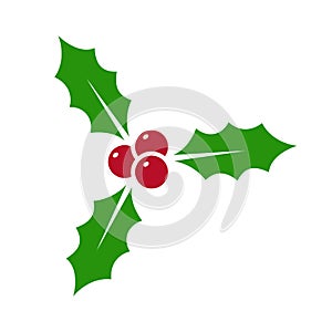 Holly berry - vector icon. Holly berry leaves. Christmas symbol isolated