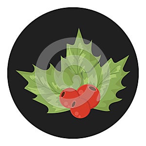 Holly berry. Vector illustration decorative background design