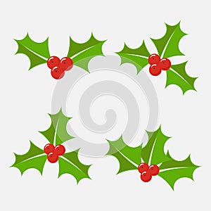 Holly berry vector set