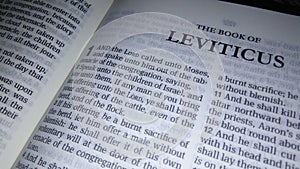 holly bible leviticus english book