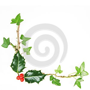 Holly and ivy frame