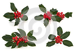 Holly Leaf and Berry Sprigs