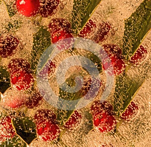 Holly Leaves and Berries Encased in Ice