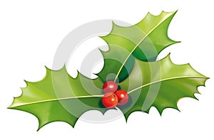Holly leaves and red berries photo