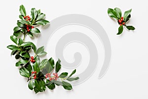 Holly leaves with red berries on white background
