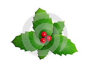 Holly leaves and red berry