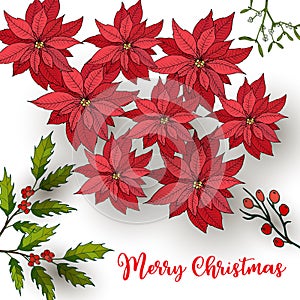 Holly, poinsettia and mistletoe. Christmas and New Year greeting card