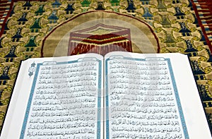 HOLLY QURAN OVER PRAY CARPENT