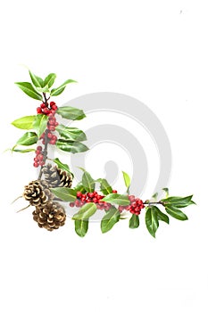 Holly and red berries corner motif