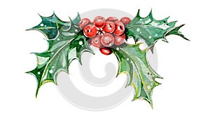 Holly with red berries and green leaves watercolor illustration. Ilex traditional seasonal decoration for Christmas and winter hol