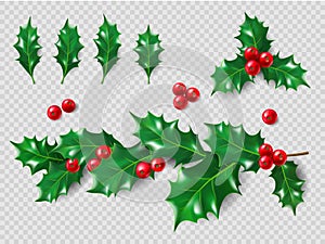 Holly Set. Realistic leaves, branch, red berries. Christmas and New Year decorations. 3d illustration for your layout