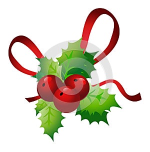 Holly sprig on white background