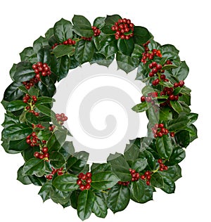 Holly Wreath