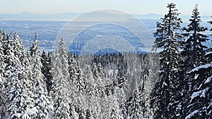 Hollyburn Giant point of view on Vancouver City