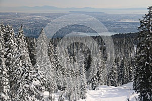 Hollyburn peak point of view on Vancouver City