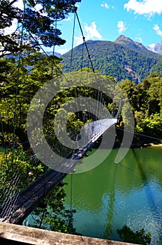 Hollyford, Fiordland National Park