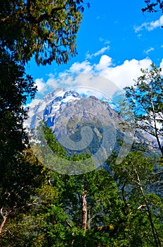 Hollyford Fiordland National Park, New Zealand