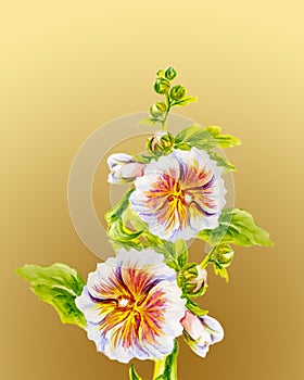 Hollyhock flowers. Watercolor painting.