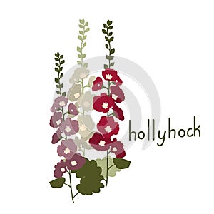 Hollyhock vector flower