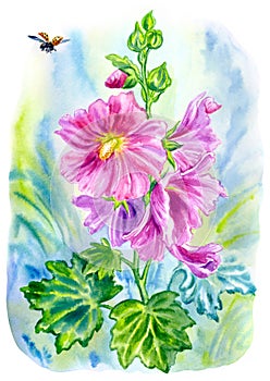 Hollyhock Ãlcea and ladybug in summer garden, watercolor