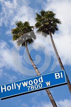 Hollywood