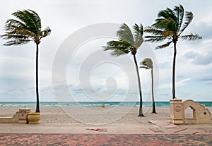 Hollywood Beach Broadwalk, a promenade along the Atlantic Ocean, Florida