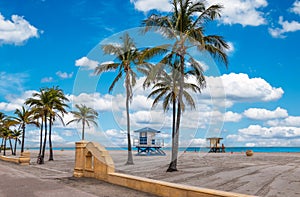 Hollywood Beach with tropical coconut palm trees and boardwalk in Florida.