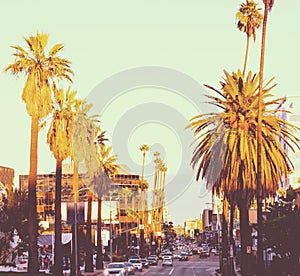 Hollywood boulevard at sunset