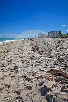 Hollywood city beach in Florida USA