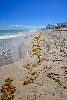 Hollywood city beach in Florida USA
