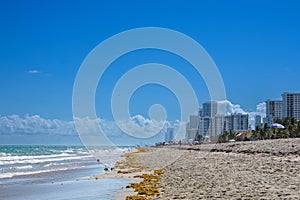 Hollywood city beach in Florida USA