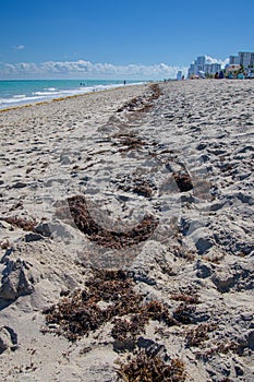 Hollywood city beach in Florida USA