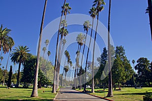 Hollywood Forever Cemetery On Sunny Day