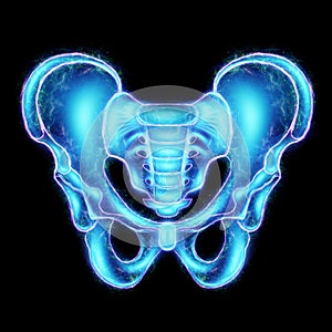 Hologram, ultrasound image, anterior view of the male pelvis, sacrum isolated on a black background. Anatomy, medicine, scientific