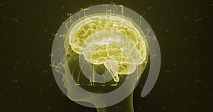 Holographic digital style human brain loop