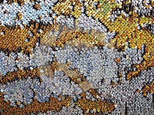 Holographic golden and silver sequins