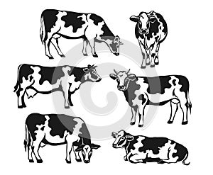 Holstein cattle silhouette set.