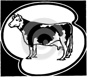 Holstein Cow