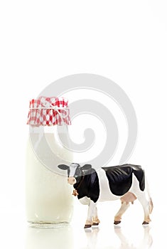 Holstein Dairy Cow Bottle of Milk 2