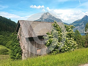 Bezový na starý dřevěný stodola před rakousko evropa 