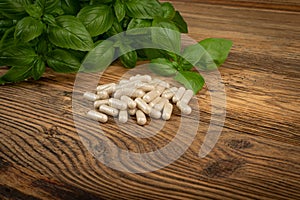 Holy Basil Capsules, Basilic Pills and Fresh Leaves, Natural Medical Diet Supplement