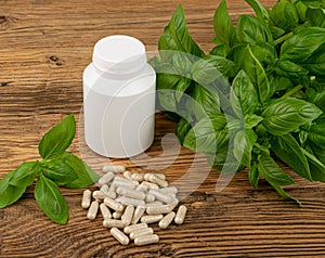 Holy Basil Capsules, Basilic Pills and Fresh Leaves, Natural Medical Diet Supplement