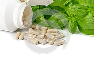 Holy Basil Capsules, Basilic Pills and Fresh Leaves, Natural Medical Diet Supplement