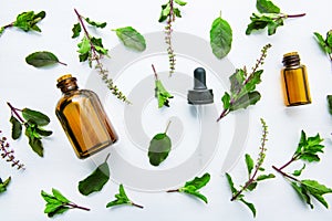 Holy Basil Essential Oil in a Glass Bottle with Fresh Holy Basil